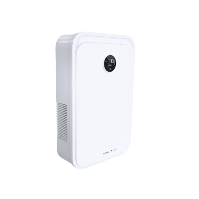Купить Рекуператор FUNAI ERW-150X.P по низкой цене с официальной гарантией Рекуператор FUNAI ERW-150X.P